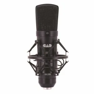 میکرفون حرفه ای CAD Audio GXL2200