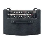 آمپلی فایر کر گیتار اکوستیک Roland AC-60